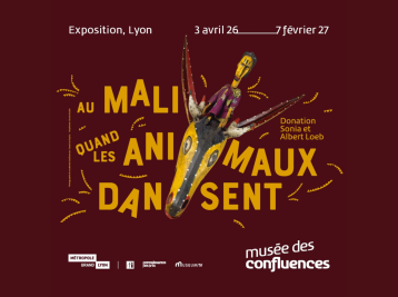 Copyright Musée des Confluences