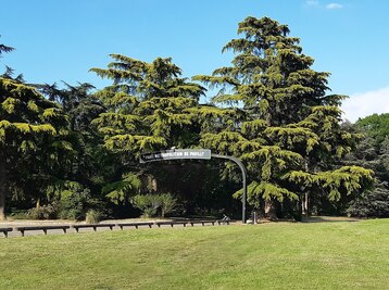 Copyright ©Wikipedia commons