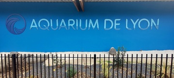 Aquarium de Lyon_La Mulati&egrave;re