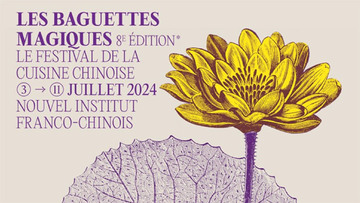 Institut Franco-Chinois