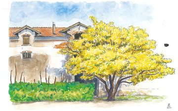 Lumière sur l'artothèque et Rêveries à Flavigny_Bron