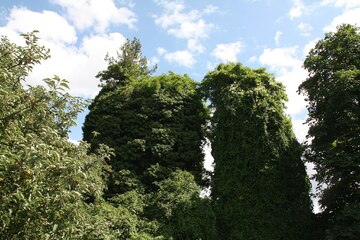 Aqueduc de l'Yzeron