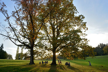 Domaine de Lacroix-Laval