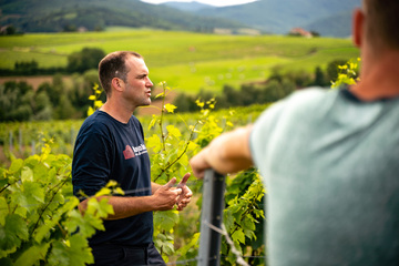 Domaine Frédéric Berne - Visite dans les vignes