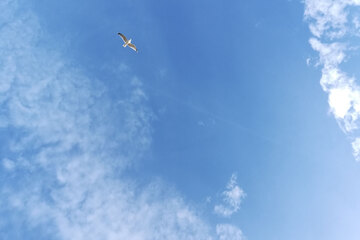 Au nom du ciel_Lyon 4ème