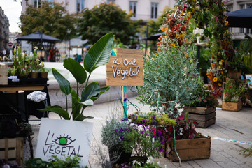 Lyon Braderie festival