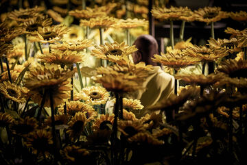 La Troupe éphémère 2026 - Mélodie-Amy Wallet_Villeurbanne