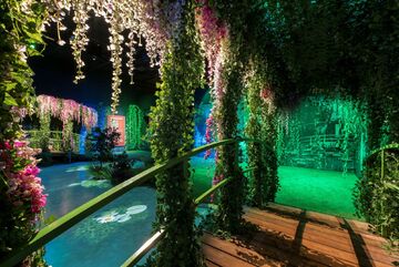 Claude Monet - L'expérience immersive_Villeurbanne