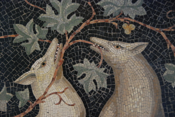 Visite Les animaux de la basilique_Lyon 5ème