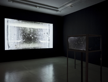 Exposition Les échos du silence_Villeurbanne
