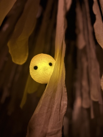 Spectacle "(é)mouvoir"_Saint-Genis-Laval