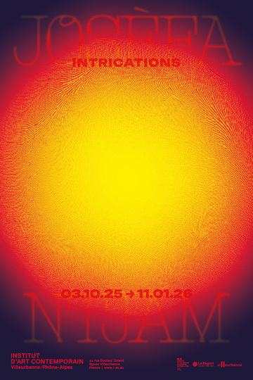 Exposition INTRICATIONS_Villeurbanne