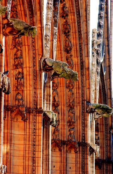 Gargouilles - Cathédrale Saint-Jean