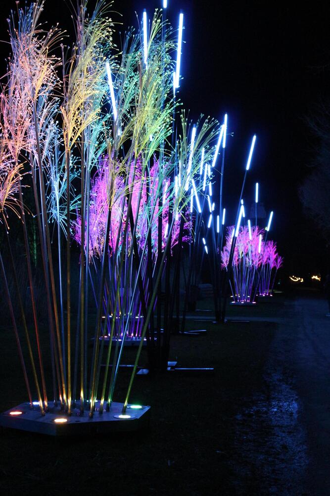 Copyright Claire Curt