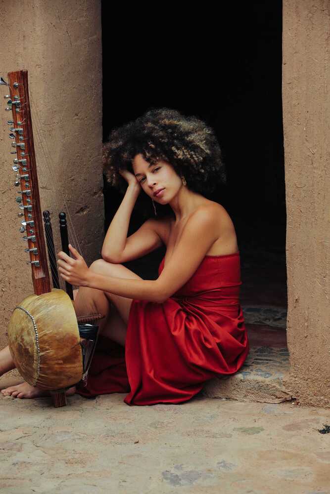 Copyright Diane Moyssan