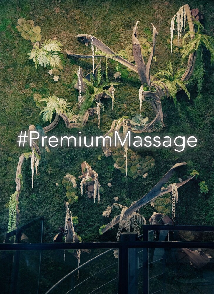 Copyright Premium Massage
