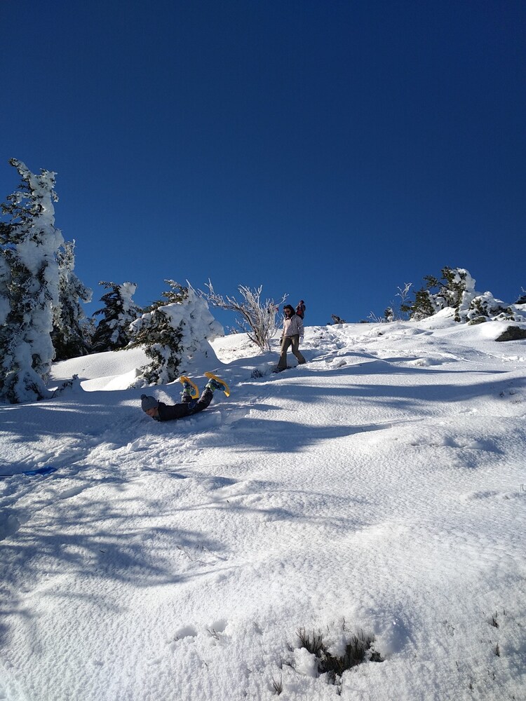 Copyright credit trottnature