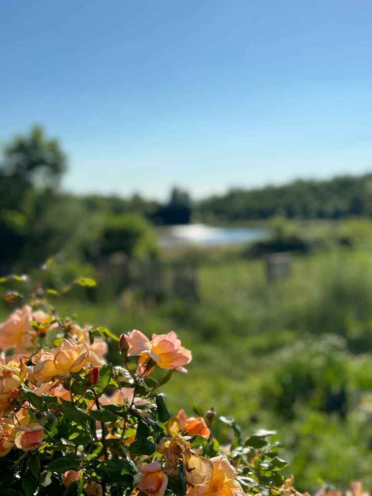 Copyright DoubleTree by Hilton Lyon Eurexpo