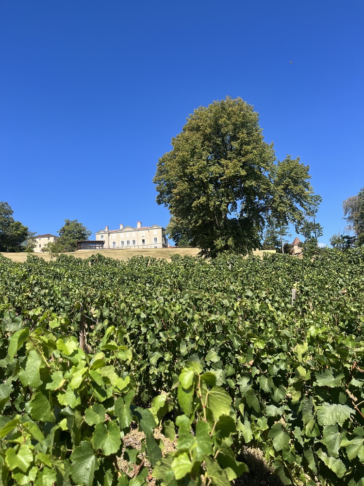 Copyright ©Château de Lachassagne photographe